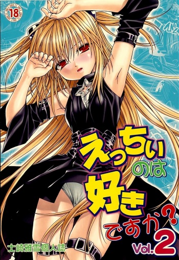 (C74) [Studio Wallaby (Shizaki Masayuki)] Ecchii no wa Suki Desu ka? 2 (To LOVE-Ru) cover