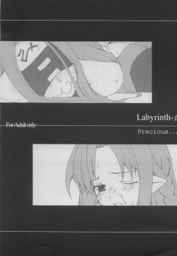 Labyrinth-β