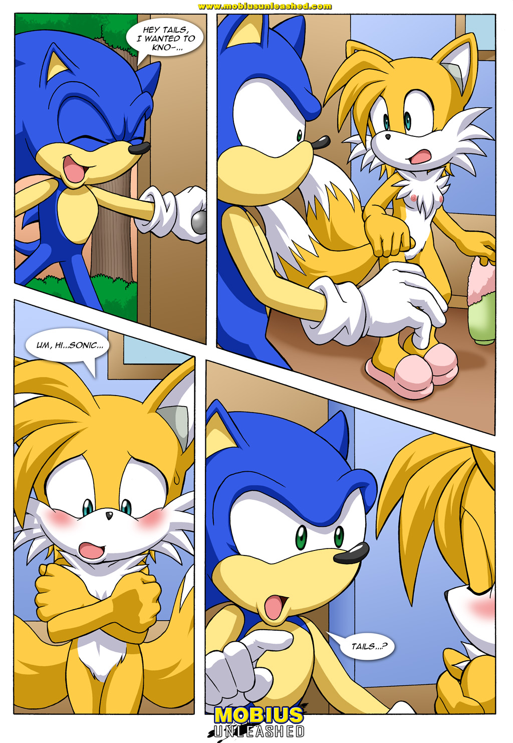 Tails Tales - Page 5 - HentaiRox