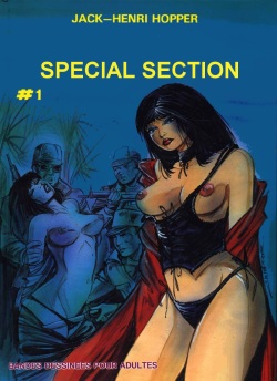 Special Section 1