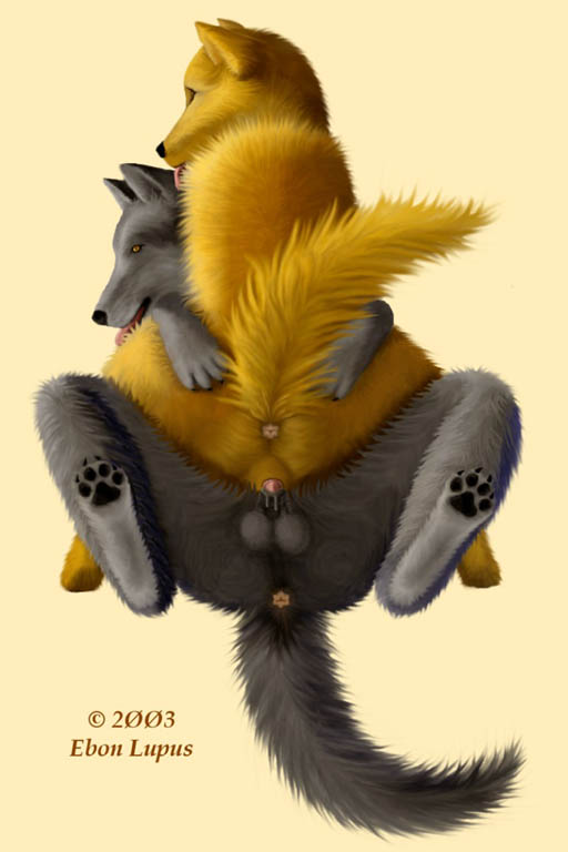 512px x 768px - Furry Anatomically Correct - Page 7 - HentaiRox