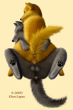 250px x 375px - Furry Anatomically Correct - HentaiRox