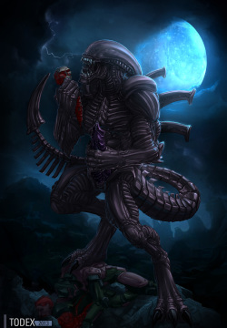 Xenomorphs