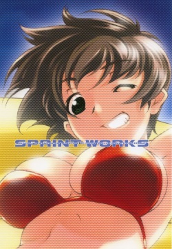 SPRINT WORKS